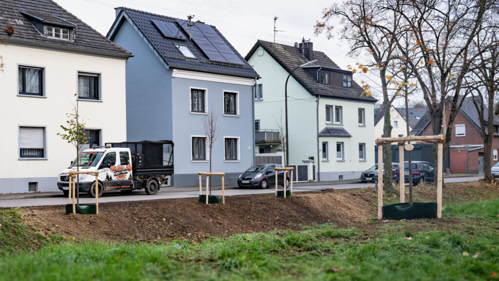 Wohnstraße mit neu gepflanzten Bäumen vor Häusern und geparktem Firmenfahrzeug im Hintergrund.
